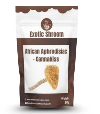 African Aphrodisiac Mushroom
