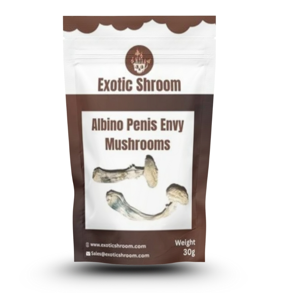 Albino Penis Envy Magic Mushroom Albino Penis Envy Magic Mushroom