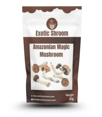 Amazonian Magic Mushroom