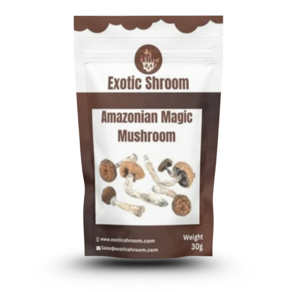 Amazonian Magic Mushroom