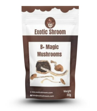 B+ Magic Mushrooms
