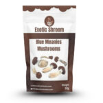 Blue Meanie Magic Mushrooms