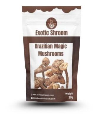 Brazilian Magic Mushrooms
