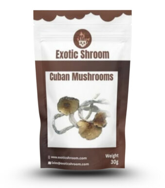 Cuban Magic Mushroom