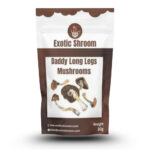 Daddy Long Legs Magic Mushroom