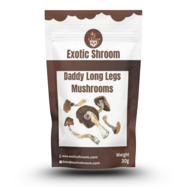 Daddy Long Legs Magic Mushroom