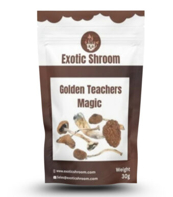 Golden Teachers Mushroom