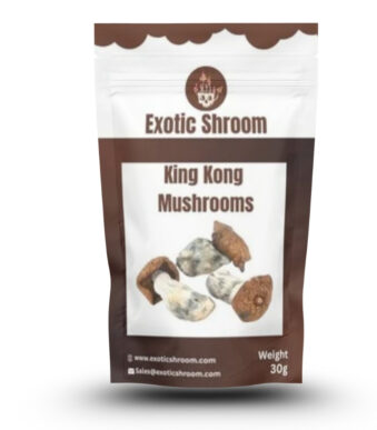 King Kong magic mushrooms