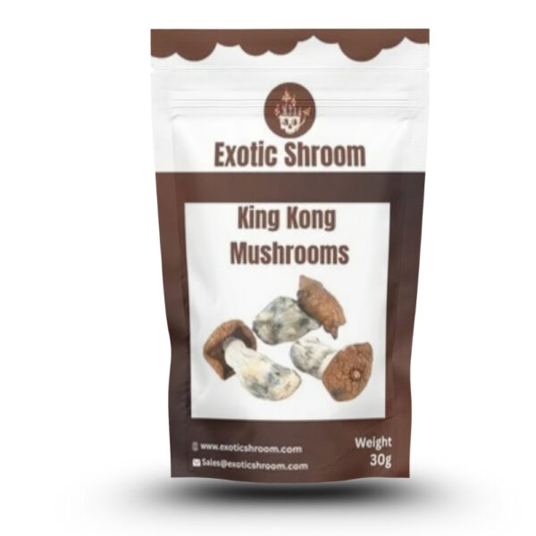 King Kong magic mushrooms
