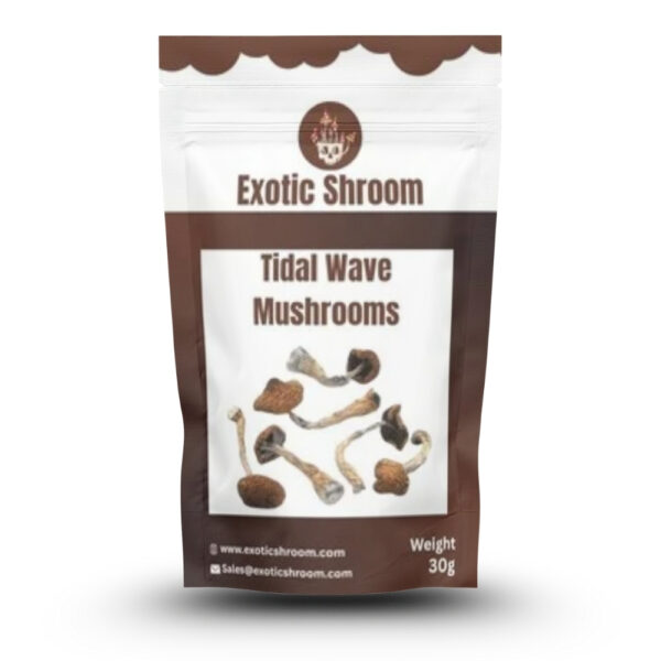 Tidal Wave Magic Mushroom