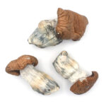 King Kong magic mushrooms - Image 2
