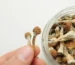 Buying Psilocybin Mushrooms Online