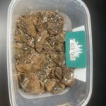 BTH